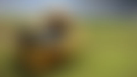 Some Watercraft Inspection Stations To Open This Weekend