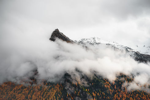 Image by eberhard 🖐 grossgasteiger
