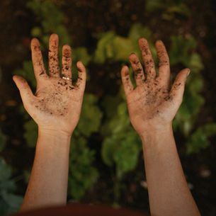 Re'eh. Shabbat Mevare'him Ellul. Gardener of my heart, gardener of the world