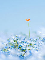 Image de YUNAN WANG