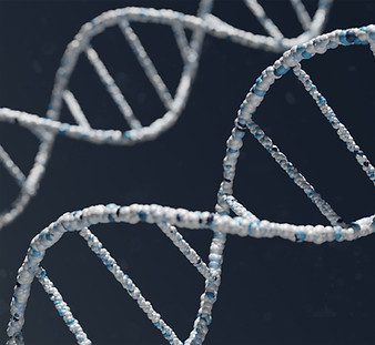 Image by Warren Umoh