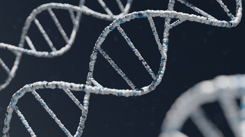 DNA Roundtable Meeting