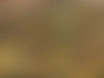 Full Fishing Closure Takes Effect Saturday On Section Of Big Hole River