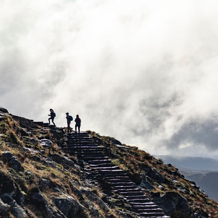 How Elite Leaders End Overwhelm Inside Hierarchical Organizations