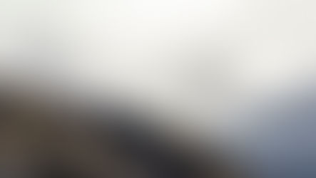 Selfgedifferensieerde leiers