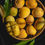 Thumbnail: Mango