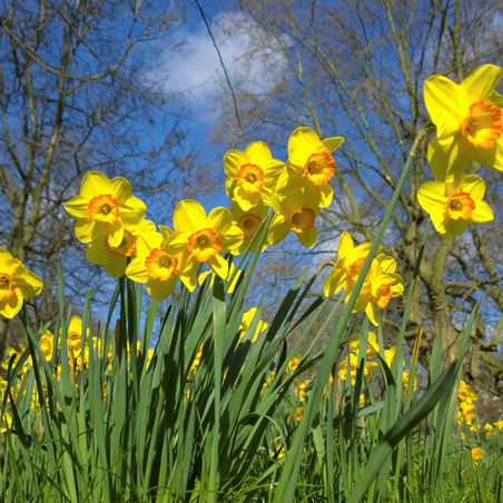 A Hopkins poem for Easter Sunday