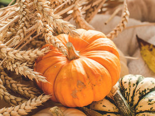 Crafting Cozy Content: Ways to Connect with Your Audience During Autumn