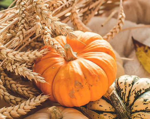 Fall Craft Fair at Pine Ridge Marketplace Mall