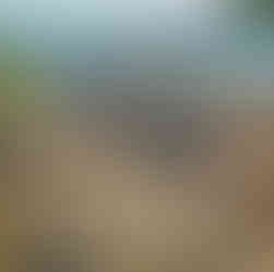 Couple chairs Koh Samui