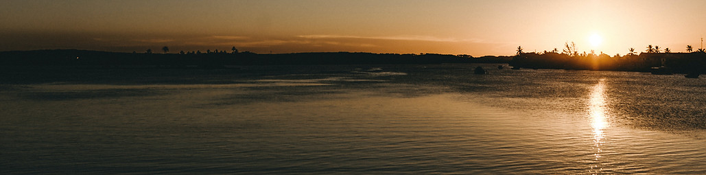 Image by Jonathan Borba