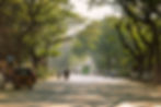 Pune Streets