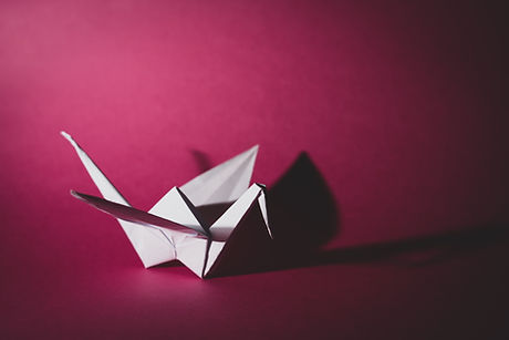 Image by Daniel Álvasd