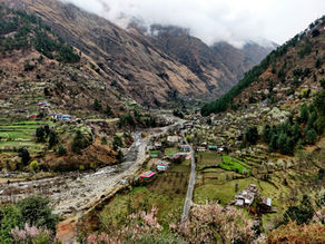 Jibhi Travel Guide: Everything You Need to Know Before You Go