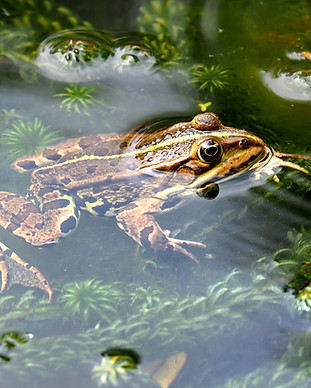 Image by Ed van duijn