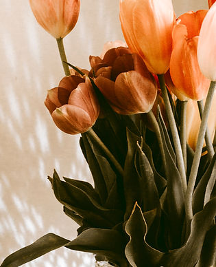 Image de Natasha Reddy