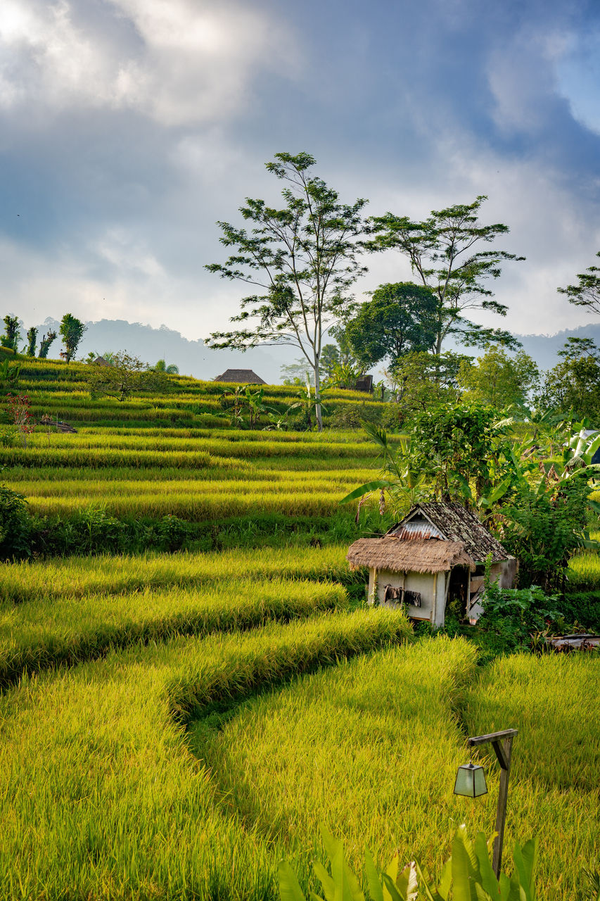 Destinazione Indonesia