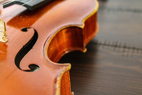 Professional violin