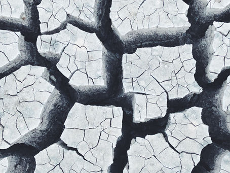 Cracked open in no man s land ( poem )