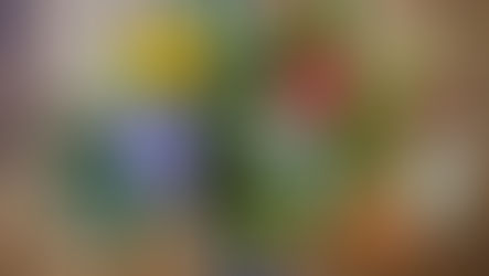 Rosenliebe pur: Die Pflege lohnt sich, wenn der Duft den Garten erfüllt.