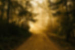 LENTEN TWILIGHT RETREAT