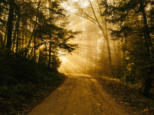50 Percent Belief, 50 Percent Courage