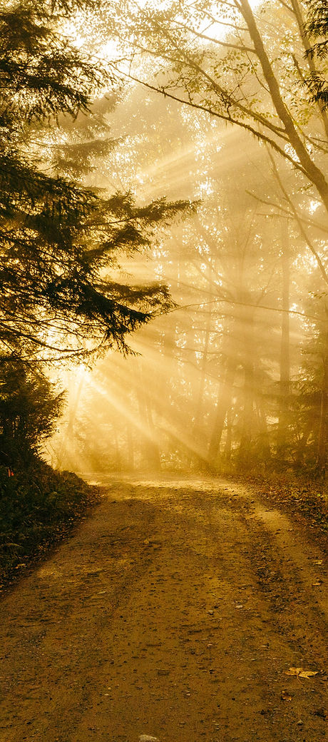 Image by Patrick Fore