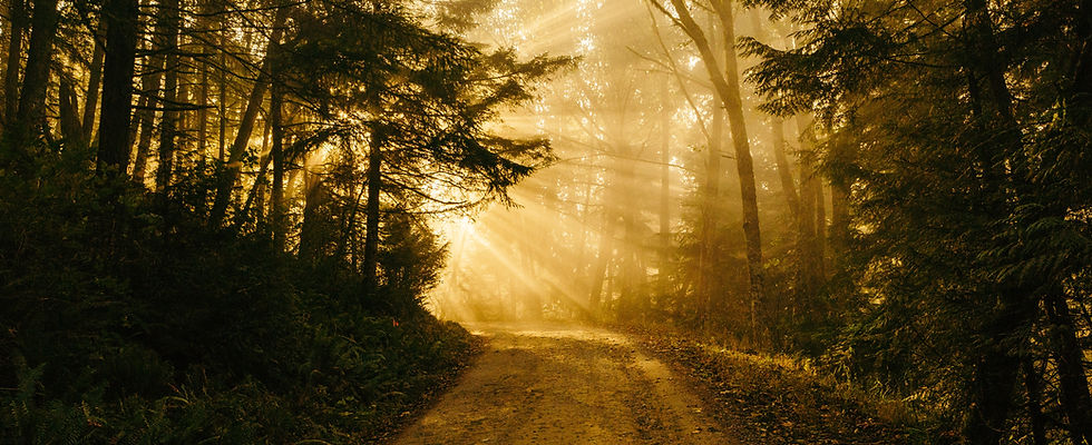 Image by Patrick Fore