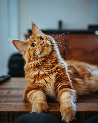 Image by Amber Kipp