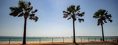 Image by Harry Down