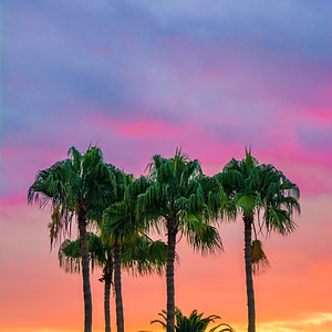 Image by Adam Birkett