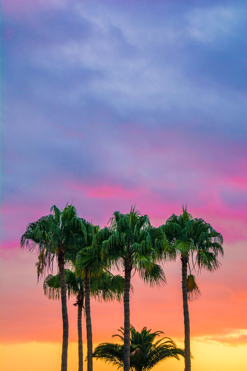 Image by Adam Birkett.jpg