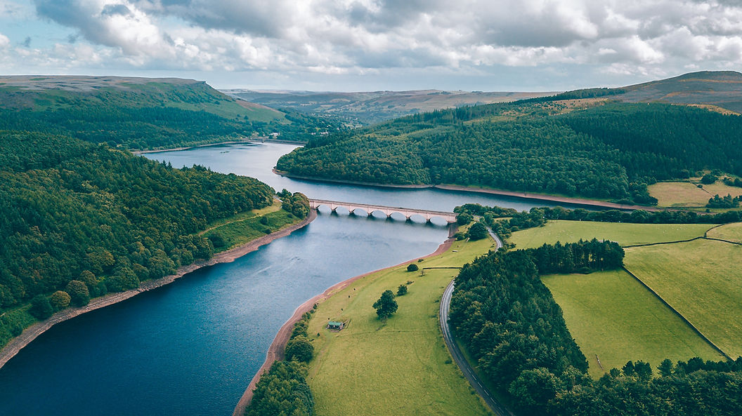 Image by matthew Feeney