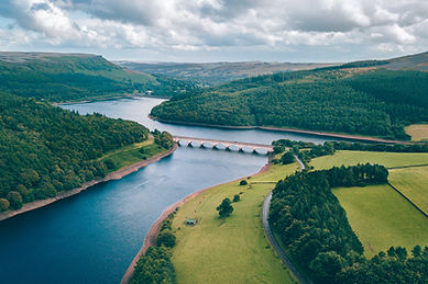 Image by matthew Feeney