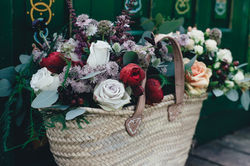 Image by Annie Spratt
