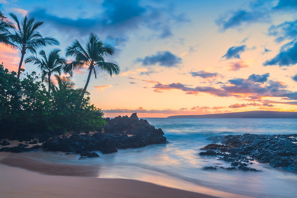 Winter Tropical Adventures are Good for You. Science Agrees!
