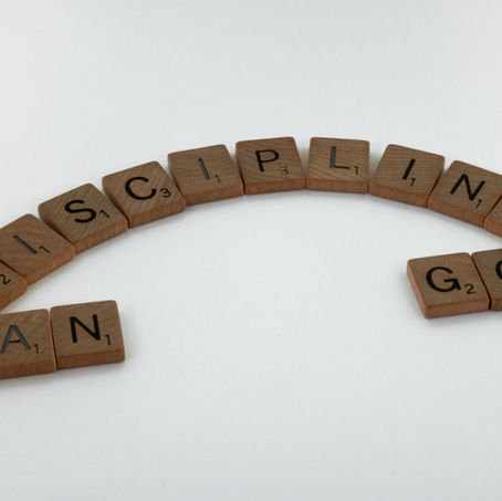 Discipline