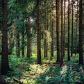 Image by Daniel Seßler