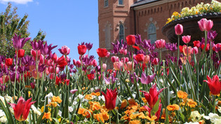 Gardens, Flowers
& Arboretums