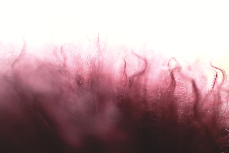 Image by gryffyn m