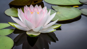 Le Reiki est il un religion ?