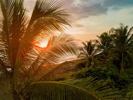 Lizzie Alex Just Back From Costa Rica