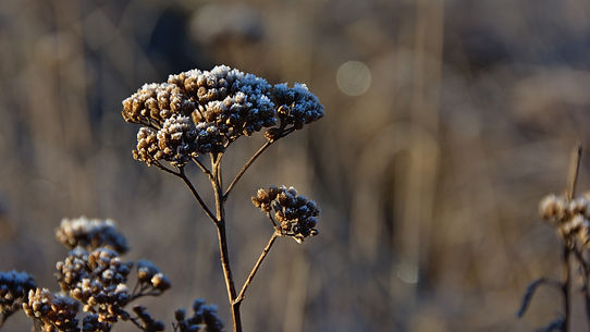Image by Tomas Sobek