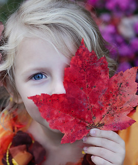 Image by Gabby Orcutt