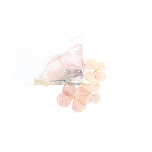 Image by Evie S.