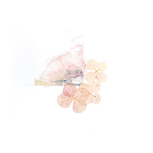 ACC-Sensitive-Claim-Sexual-Abuse-Serenepsych-Psychologist-Hamilton-New-Zealand-Therapist-Anxiety-PTSD-Counselling
