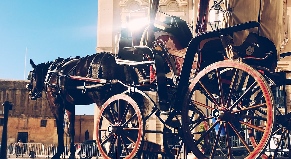 Horse Carriage