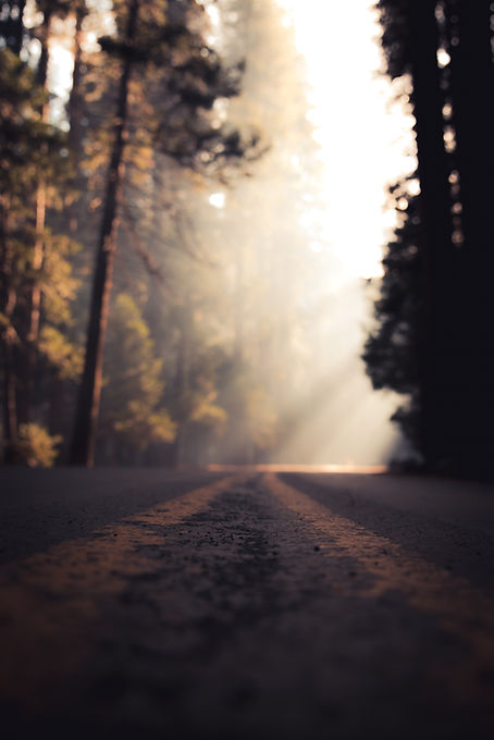Image de Casey Horner