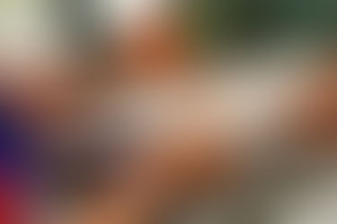 GS-441524 มีผลข้างเคียงหรือไม่? ยารักษา FIP ที่ปลอดภัยที่สุดสำหรับแมว