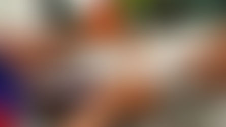 Are There Any Side Effects from GS-441524 Treatment? The Safest FIP Cure for Cats